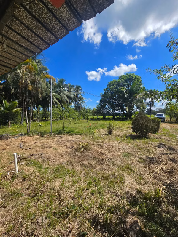 FARM $43,000 / 1.8 HECTARES / BACO / BERBA / ARMUELLES PORT / TRANSPORT / RIGHT POSSESSIVE