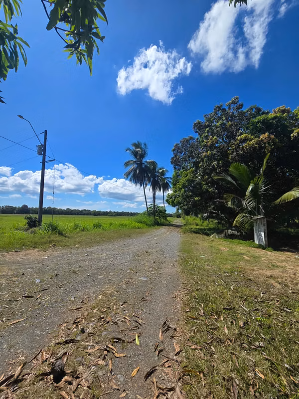 FARM $43,000 / 1.8 HECTARES / BACO / BERBA / ARMUELLES PORT / TRANSPORT / RIGHT POSSESSIVE
