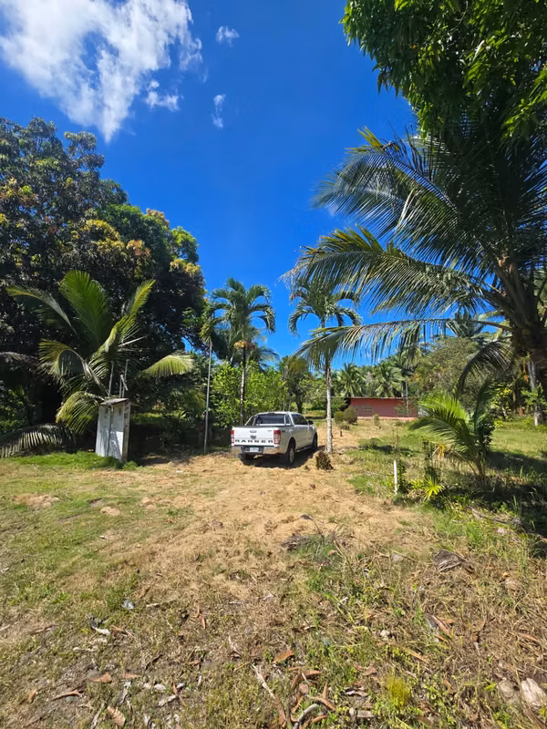 FARM $43,000 / 1.8 HECTARES / BACO / BERBA / ARMUELLES PORT / TRANSPORT / RIGHT POSSESSIVE