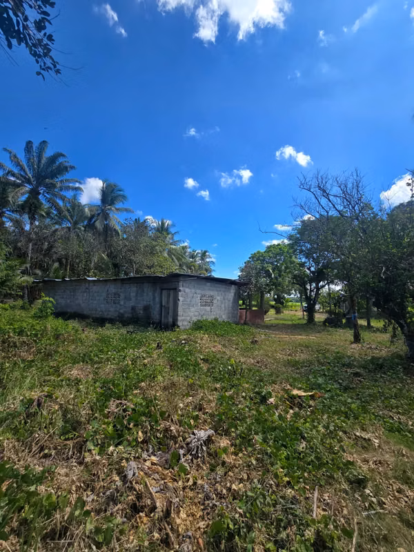 FARM $43,000 / 1.8 HECTARES / BACO / BERBA / ARMUELLES PORT / TRANSPORT / RIGHT POSSESSIVE