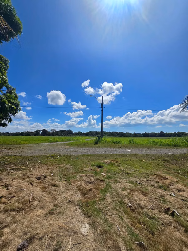 FARM $43,000 / 1.8 HECTARES / BACO / BERBA / ARMUELLES PORT / TRANSPORT / RIGHT POSSESSIVE