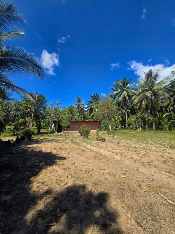 FARM $43,000 / 1.8 HECTARES / BACO / BERBA / ARMUELLES PORT / TRANSPORT / RIGHT POSSESSIVE