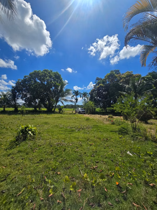 FARM $43,000 / 1.8 HECTARES / BACO / BERBA / ARMUELLES PORT / TRANSPORT / RIGHT POSSESSIVE