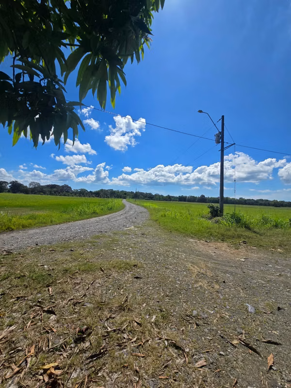 FARM $43,000 / 1.8 HECTARES / BACO / BERBA / ARMUELLES PORT / TRANSPORT / RIGHT POSSESSIVE