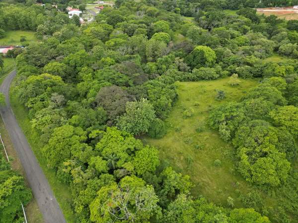 Land for Sale in San Carlitos, David, Chiriquí