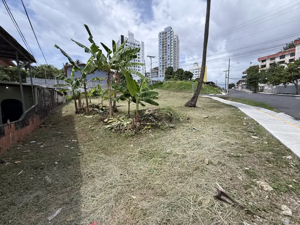 LAND IN NEW TOWN - 124; BIRD. 12 OCTOBER - 124; CITY OF PANAMA - 124; FOR SALE