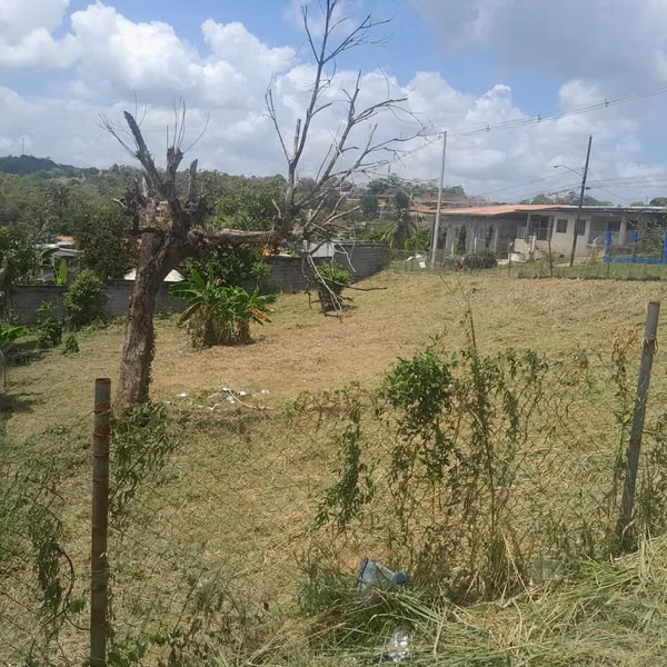 Land for sale Chorrera