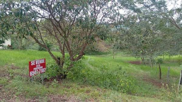 Se vende terreno en San carlitos 1000 mt2 63 mil