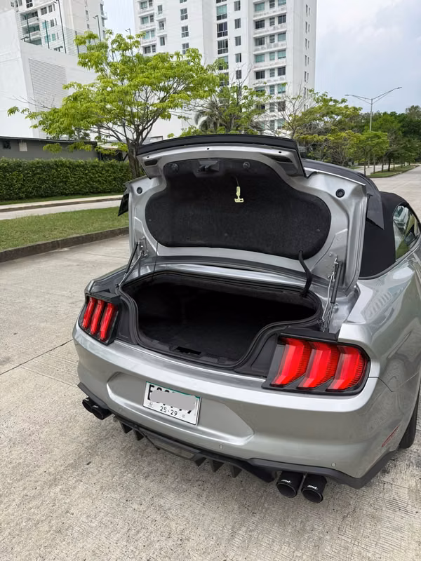 Ford Mustang Ecoboost 2022