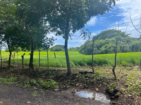 $688,000 58-HECTARE FLAT FARM FOR SALE IN MARIABE DE PEDASI, LOS SANTOS JB
