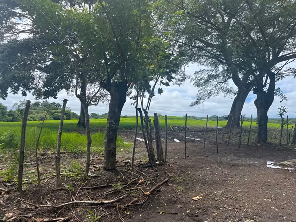 $688,000 58-HECTARE FLAT FARM FOR SALE IN MARIABE DE PEDASI, LOS SANTOS JB