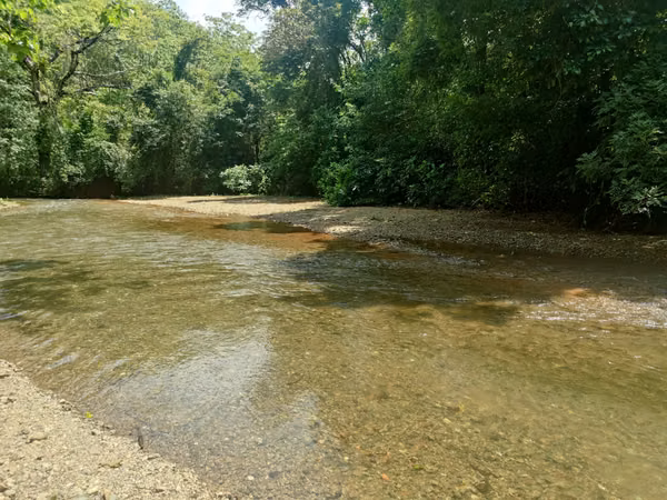 $2,500 PER HECTARE FOR SALE: 862 + 6643 SQM, MARIATO, VERAGUAS