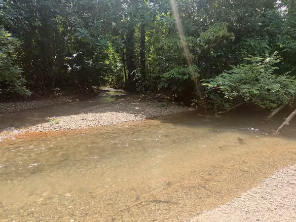 $2,500 PER HECTARE FOR SALE: 862 + 6643 SQM, MARIATO, VERAGUAS