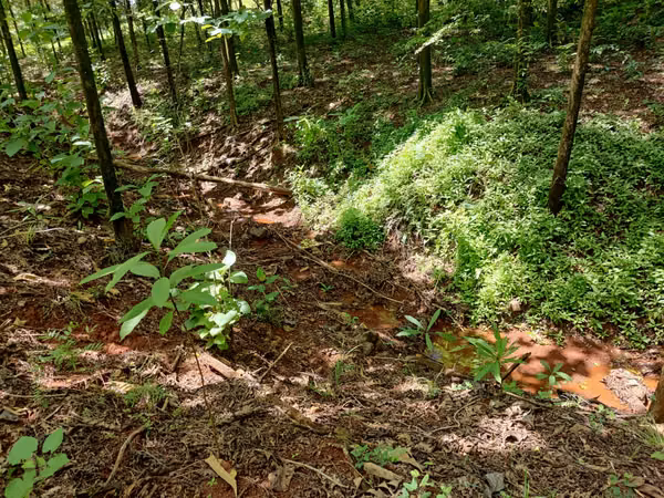 $2,500 PER HECTARE FOR SALE: 862 + 6643 SQM, MARIATO, VERAGUAS