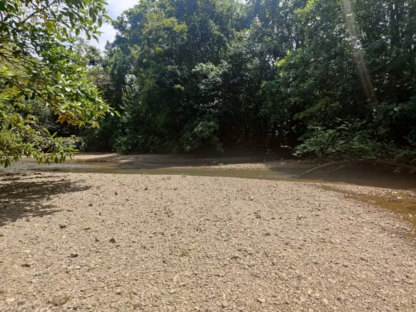 $2,500 PER HECTARE FOR SALE: 862 + 6643 SQM, MARIATO, VERAGUAS