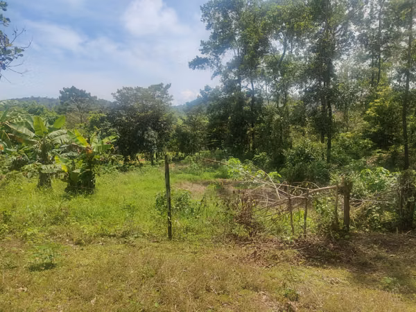 $2,500 PER HECTARE FOR SALE: 862 + 6643 SQM, MARIATO, VERAGUAS