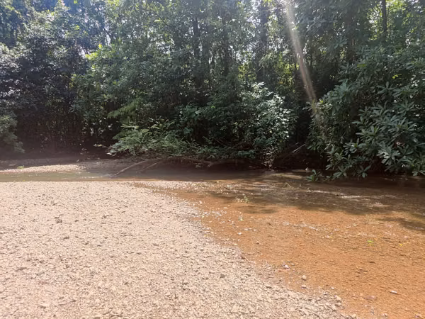$2,500 PER HECTARE FOR SALE: 862 + 6643 SQM, MARIATO, VERAGUAS