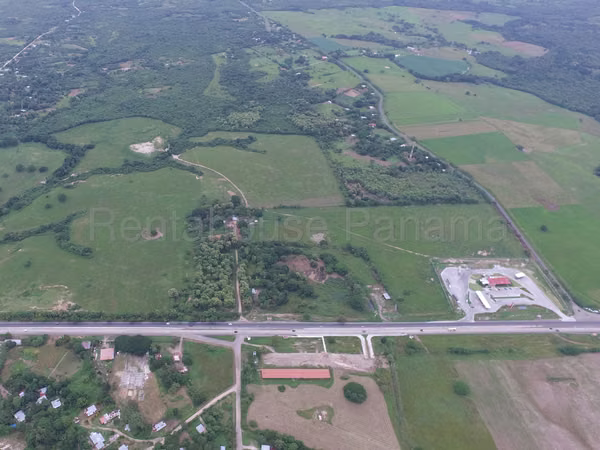 Land For Sale In Juan Diaz SYH