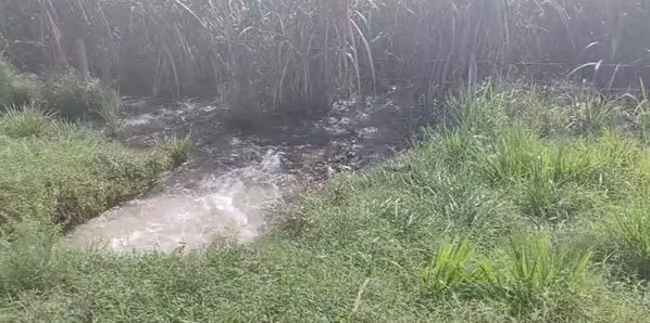 $4,000,000 348-HECTARE FLAT FARM FOR SALE IN HERRERA, JUST 6.2 KM FROM THE PAN-AMERICAN HIGHWAY JB