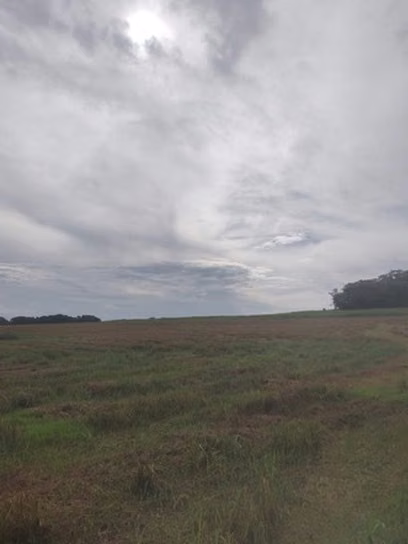 $4,000,000 348-HECTARE FLAT FARM FOR SALE IN HERRERA, JUST 6.2 KM FROM THE PAN-AMERICAN HIGHWAY JB