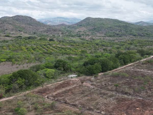 Farm for sale in Natá, Los Olivos, Coclé, 210 hectares