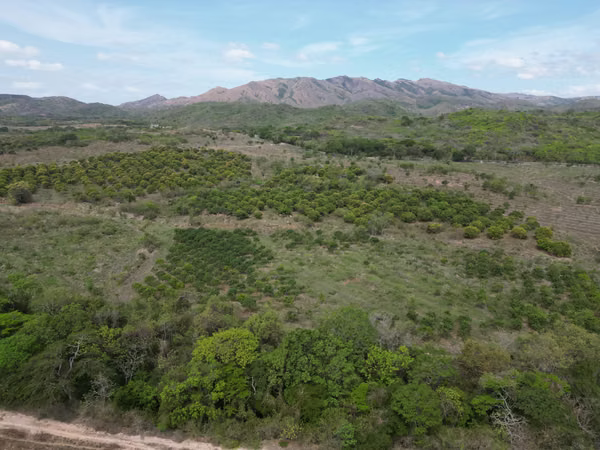 Farm for sale in Natá, Los Olivos, Coclé, 210 hectares