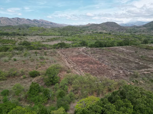 Farm for sale in Natá, Los Olivos, Coclé, 210 hectares