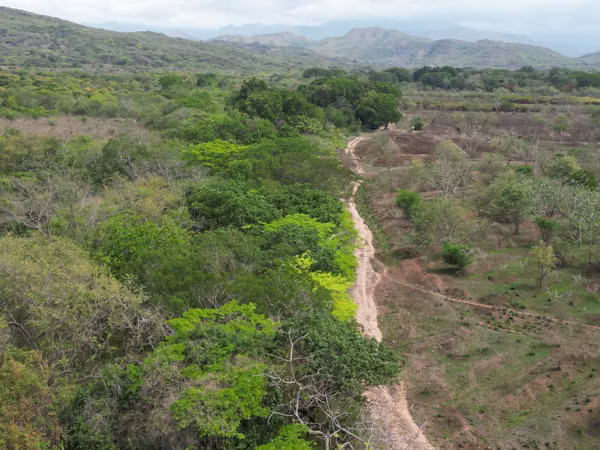 Farm for sale in Natá, Los Olivos, Coclé, 210 hectares
