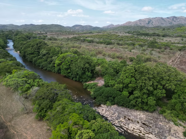 Farm for sale in Natá, Los Olivos, Coclé, 210 hectares