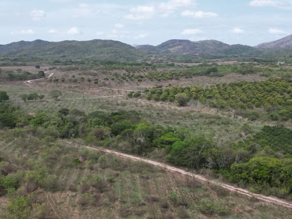 Farm for sale in Natá, Los Olivos, Coclé, 210 hectares