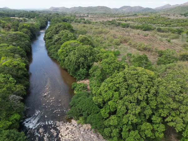 Farm for sale in Natá, Los Olivos, Coclé, 210 hectares