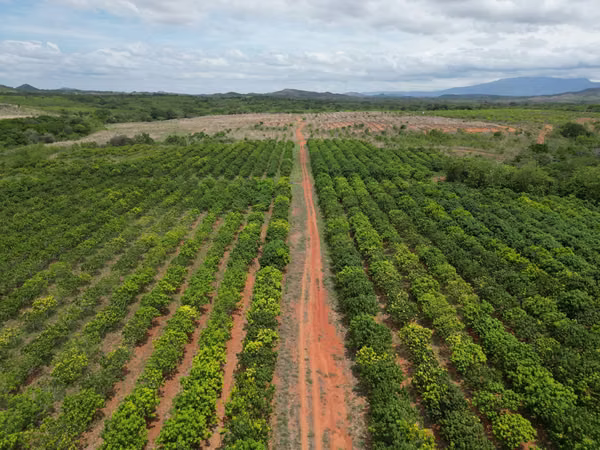 Farm for sale in El Cortezo, Toza, Natá, Coclé, 259 hectares