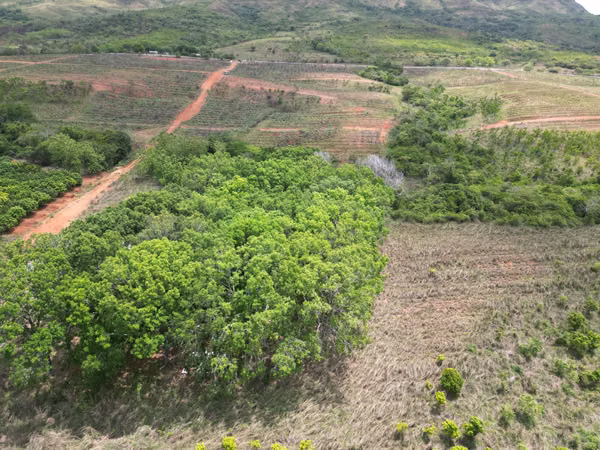 Farm for sale in El Cortezo, Toza, Natá, Coclé, 259 hectares