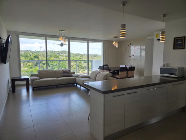 RENTAL APARTMENT FURNISHED IN CLAYTON P