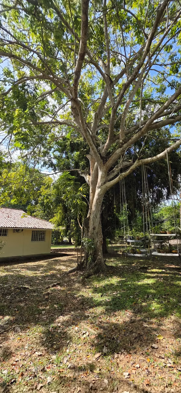 Alquilo casa con 2500m2 de terreno RESIDENCIAL HOWARD PANAMA PACIFICO
