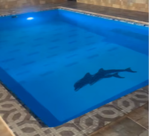 PRICE REDUCTION! Beautiful House for Sale in Brisas Occidente with POOL