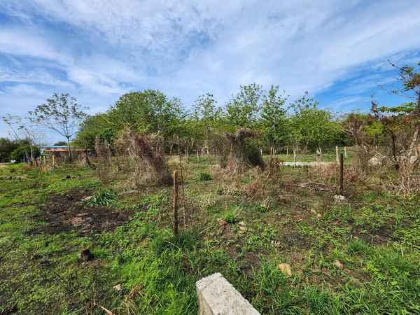 INVESTMENT OPPORTUNITY IN PEDASI!