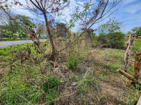 INVESTMENT OPPORTUNITY IN PEDASI!
