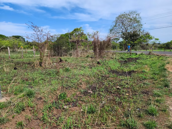 INVESTMENT OPPORTUNITY IN PEDASI!