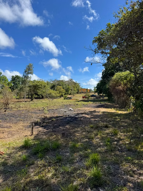 Land for Sale!
