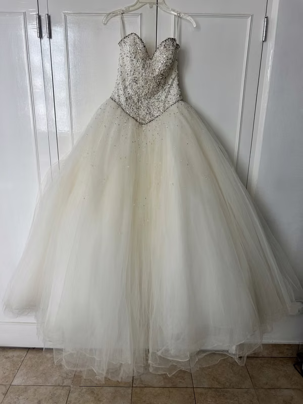 Bride or Quinceañera Dress