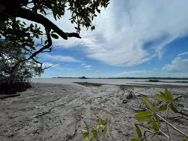 Private Eco-Island for Sale | Gulf of San Miguel, Darién, Panama
