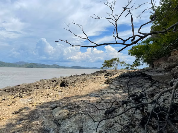 Private Eco-Island for Sale | Gulf of San Miguel, Darién, Panama