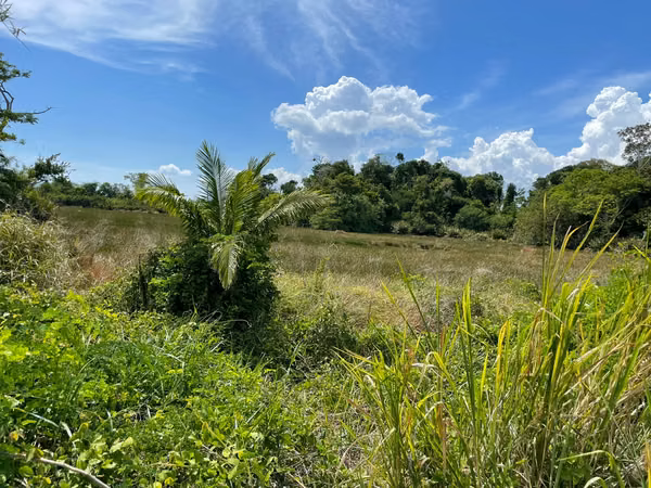 Private Eco-Island for Sale | Gulf of San Miguel, Darién, Panama