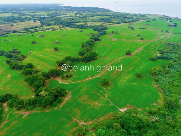 Se Alquila Finca de 121 Hectareas en Pedasi