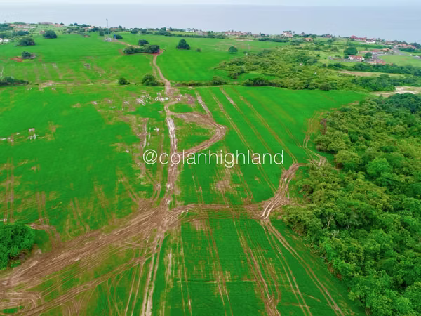 Se Alquila Finca de 121 Hectareas en Pedasi