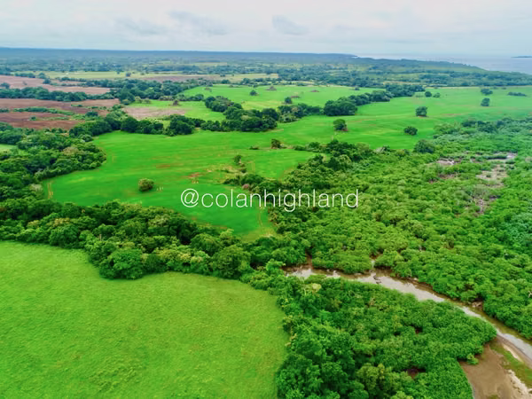 Se Vende Finca de 121 Hectareas Frente al Mar en Pedasi