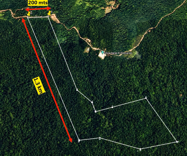 CERRO AZUL – 135.9 ACRES OF PRE-MOUNTAIN FOREST WITH WATER, ROAD ACCESS & DEVELOPMENT POTENTIAL