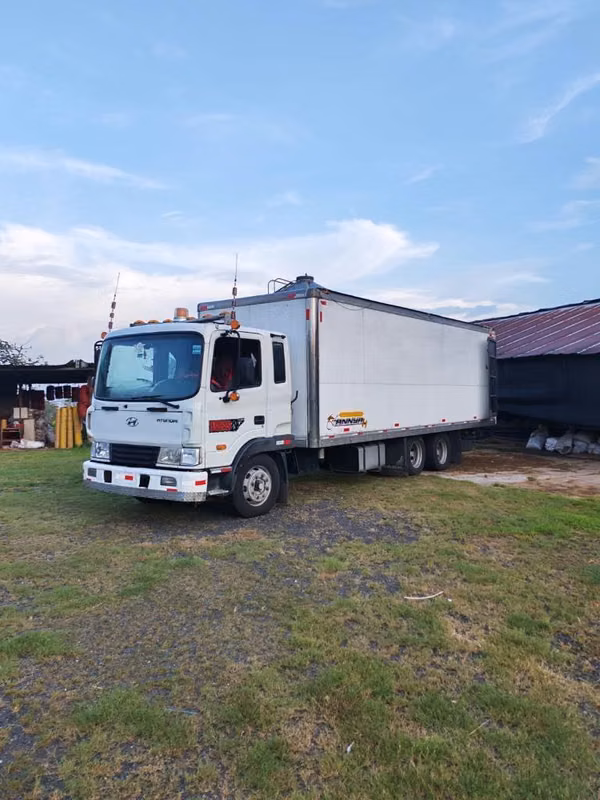 CAMION 24 PIES 10 RUEDAS