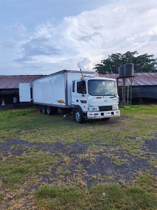 CAMION 24 PIES 10 RUEDAS